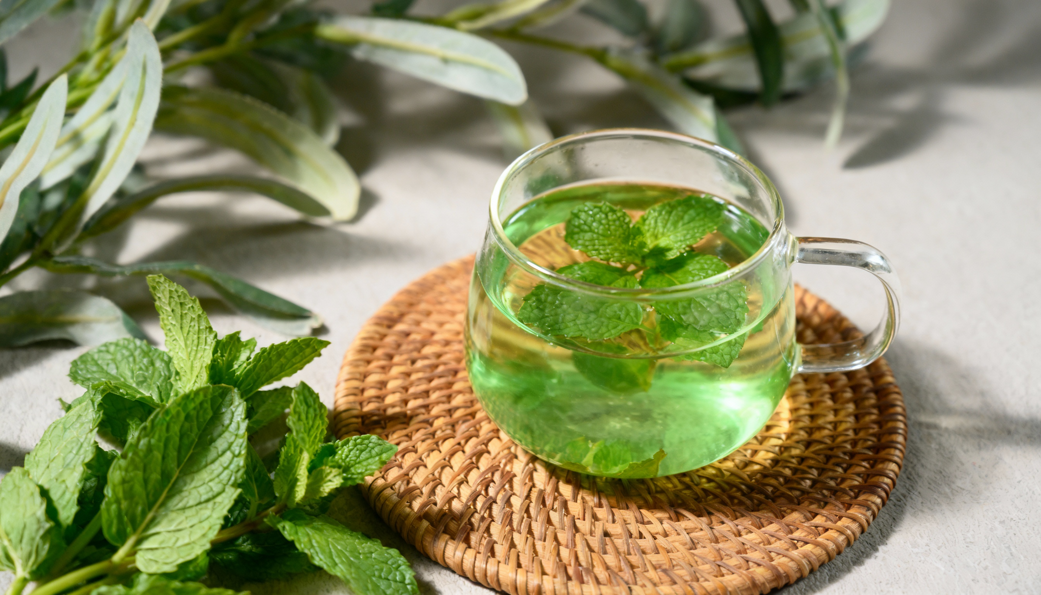 Mint green tea supports weight management 