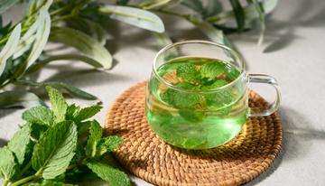 Mint green tea supports weight management 