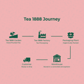 Tea 1888 Journey of Panchamrit Tea 