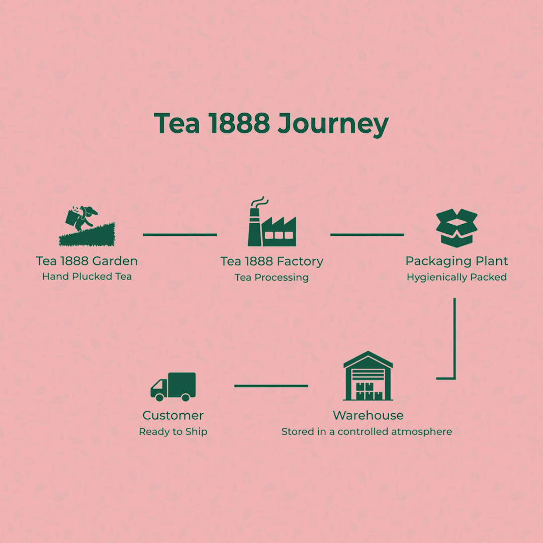 Tea 1888 Journey of Panchamrit Tea 