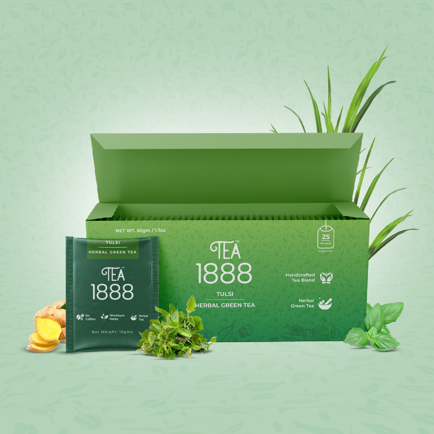 Tulsi Green Tea